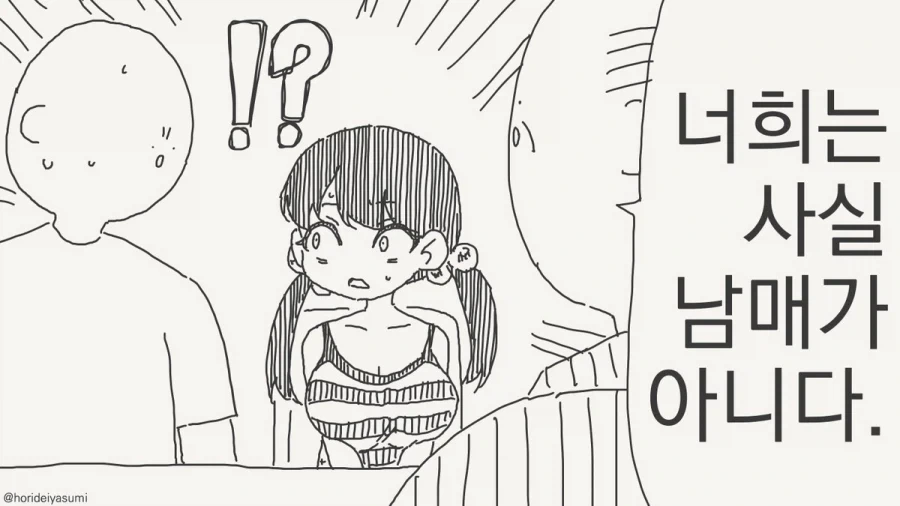 남매가 아닌 만화