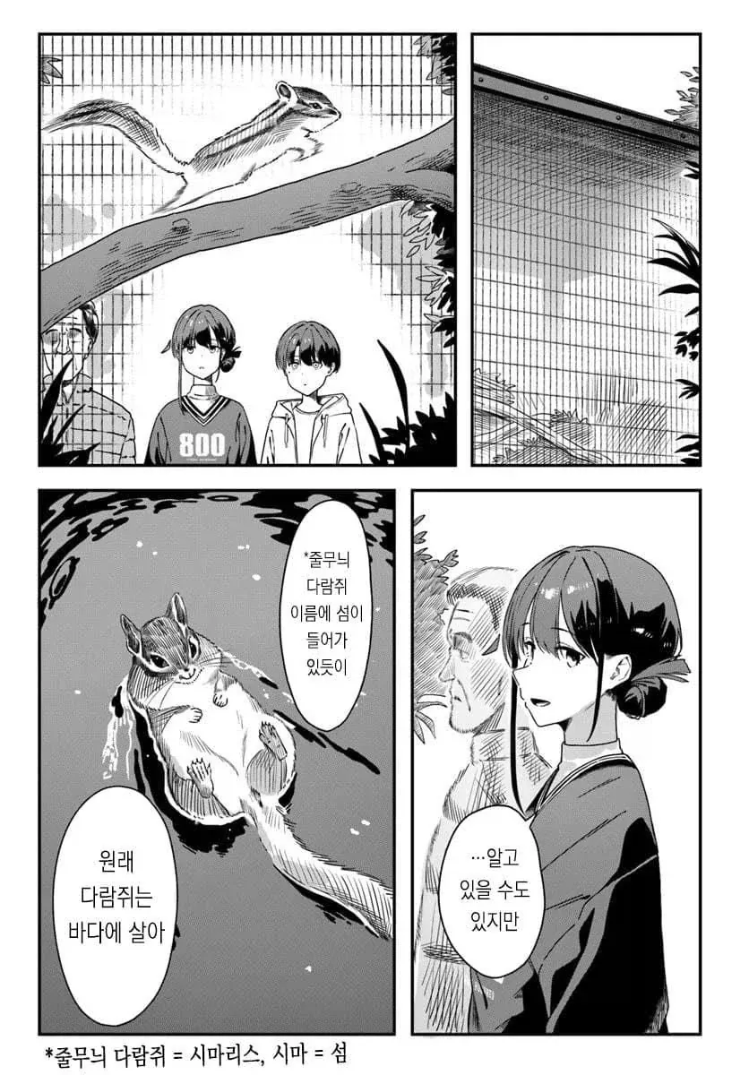 줄무늬 다람쥐 습성을 알려주는 .manhwa_1.webp