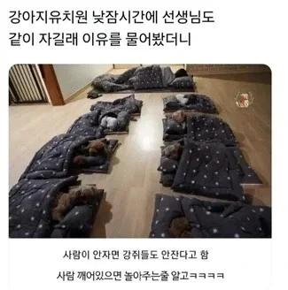 인간 같이 자ㅇㅎ다 멍!