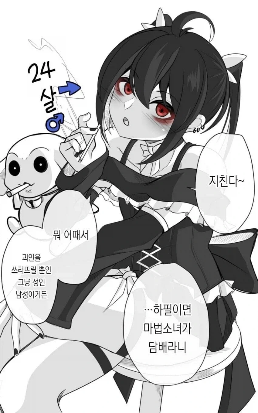 마법소녀의 정체는 24살 남자라는 만화 - 이미지 2