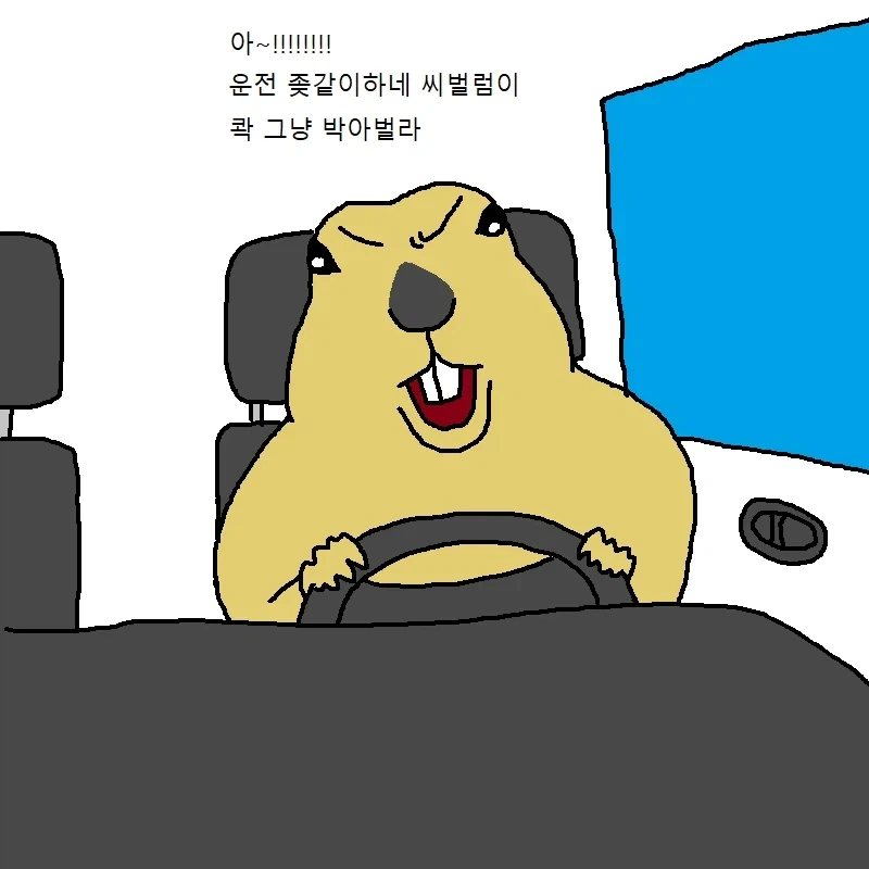 운전하다가 개빡치는 만화 - 이미지 4