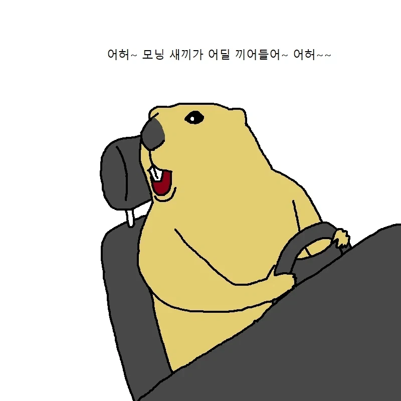 운전하다가 개빡치는 만화 - 이미지 9