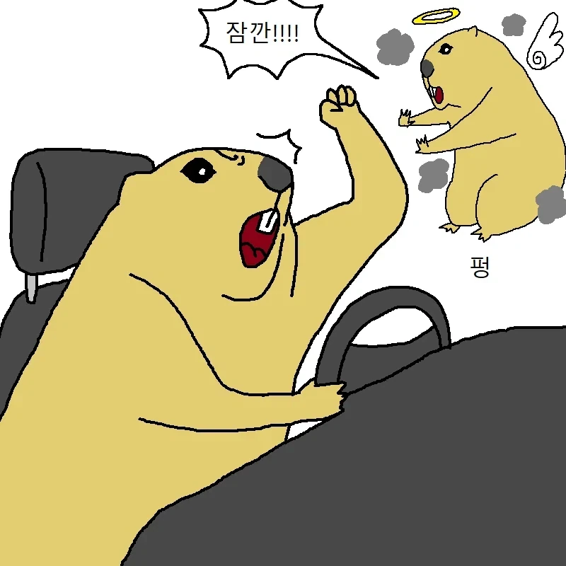운전하다가 개빡치는 만화 - 이미지 15
