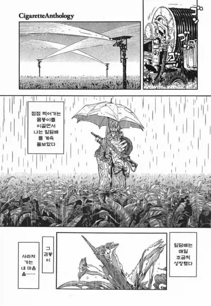 단편)롱피스.manhwa_10.webp