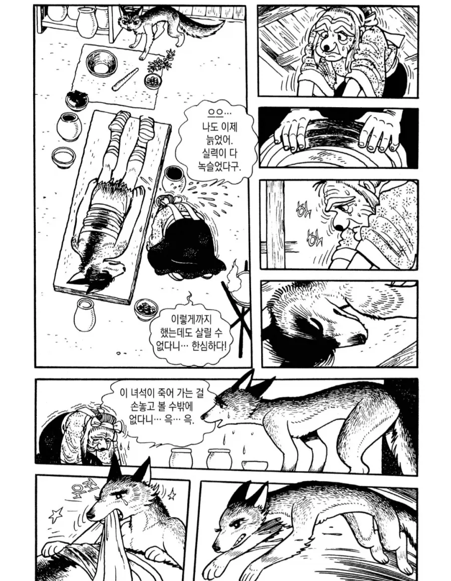 할머니와 여우의 캣파이트.manhwa_1.webp
