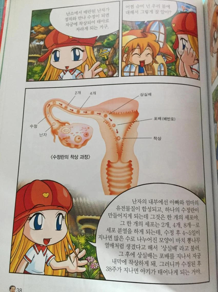 메이플 학습 만화 레전드 - 이미지 2