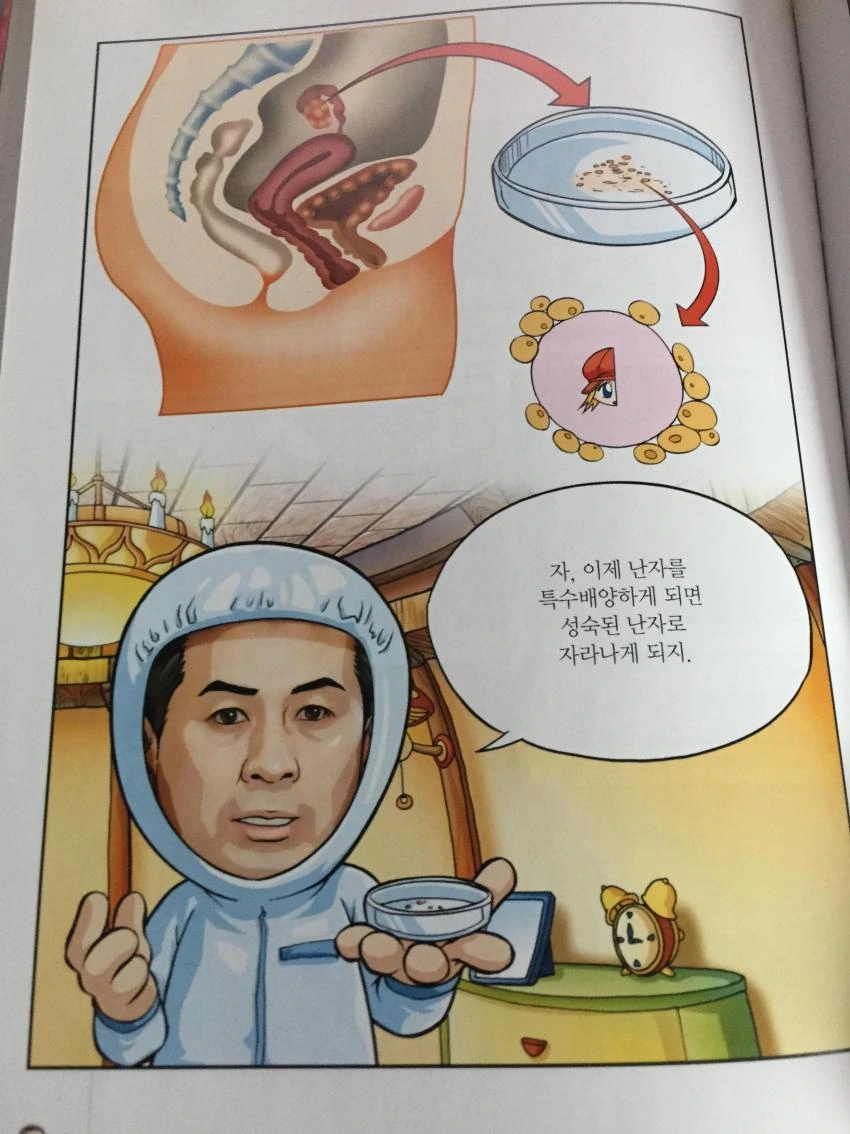 메이플 학습 만화 레전드 - 이미지 10