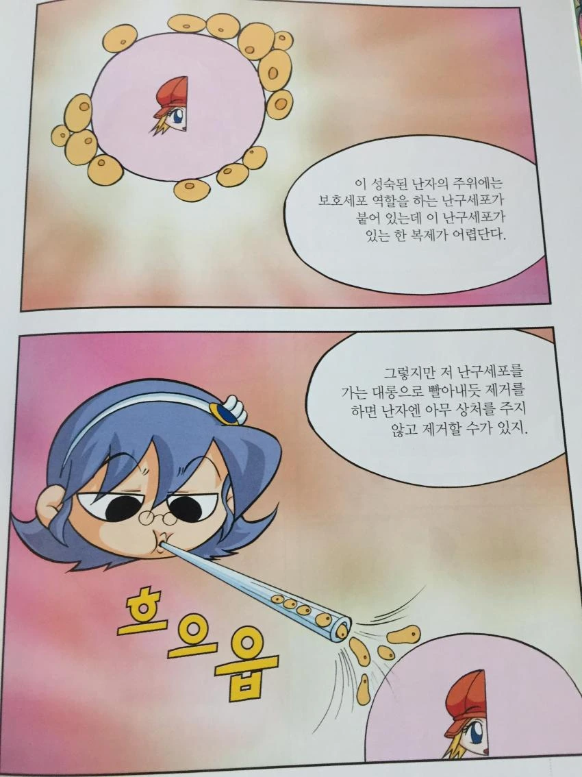 메이플 학습 만화 레전드 - 이미지 11