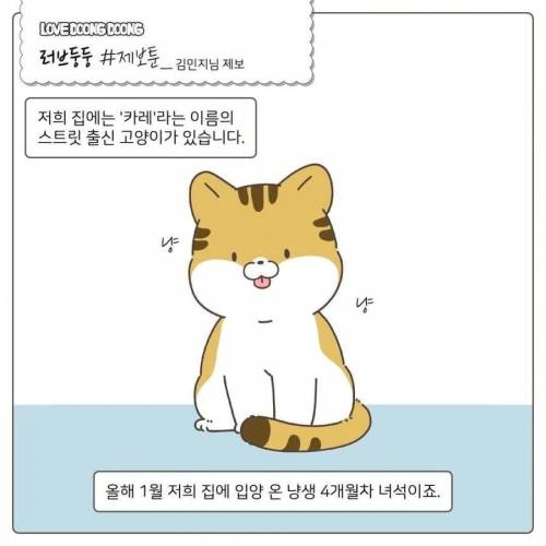 길냥이 입양한.manwha