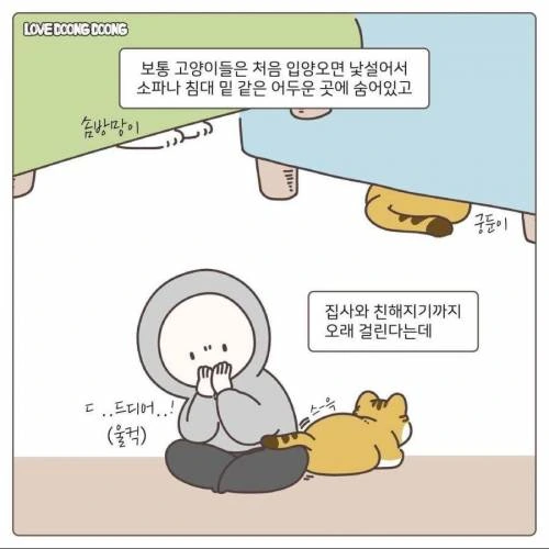 길냥이 입양한.manwha - 이미지 2