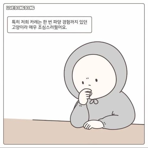 길냥이 입양한.manwha - 이미지 3