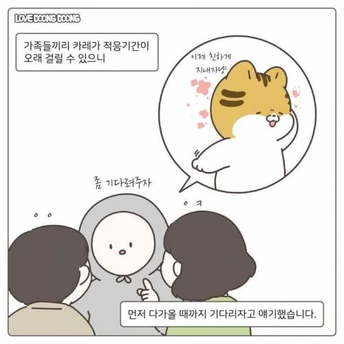 길냥이 입양한.manwha - 이미지 4