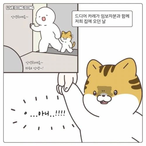 길냥이 입양한.manwha - 이미지 5