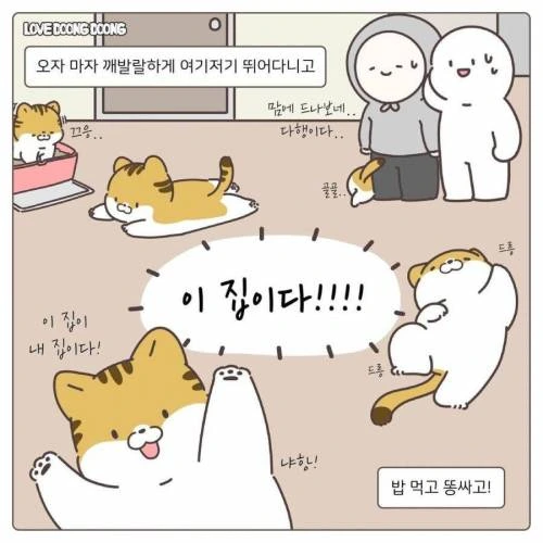 길냥이 입양한.manwha - 이미지 6