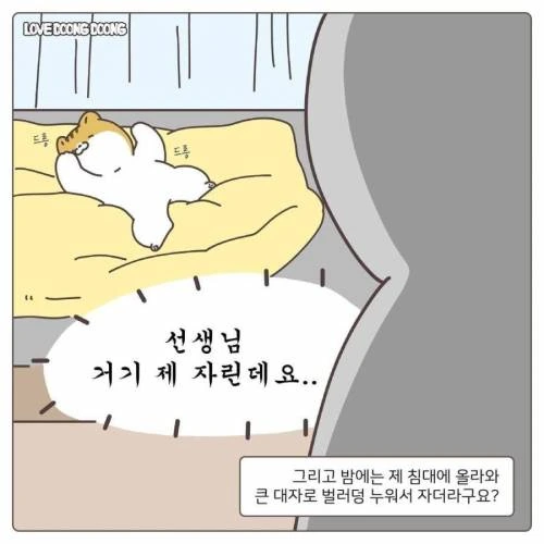 길냥이 입양한.manwha - 이미지 7