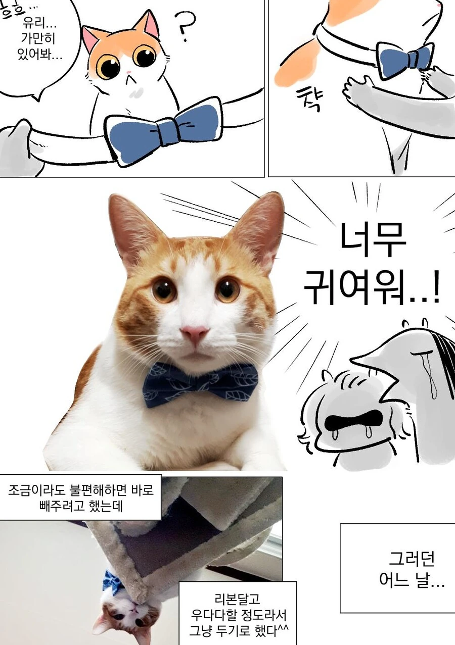manga_1102530_002_60c6b6465ca7.webp