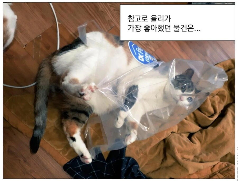 manga_1102530_004_db1ad2a95a0f.webp