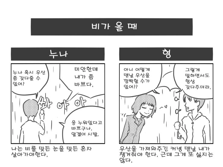 형이 누나보다 나은 이유.manhwa