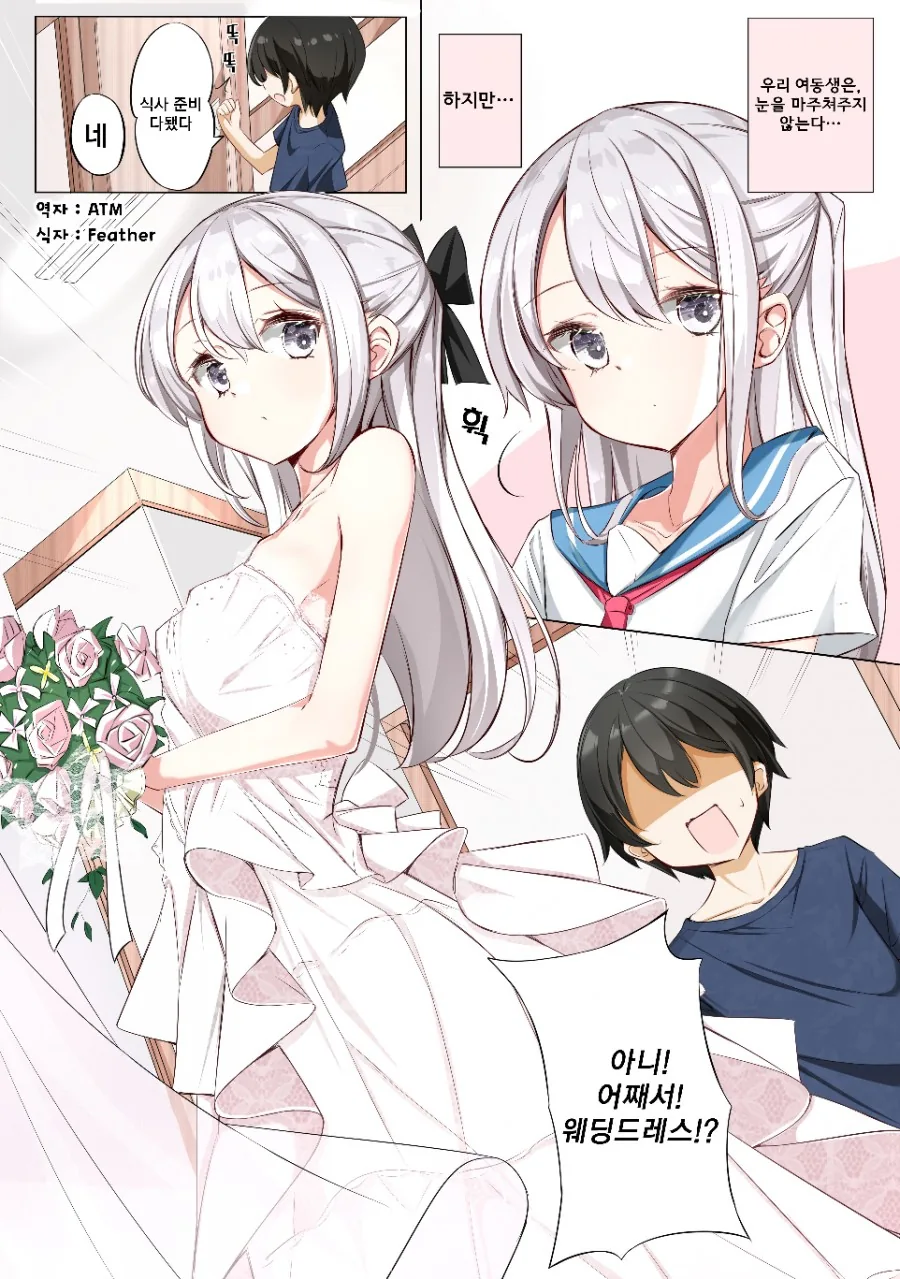여동생이 결혼을 하게 된 만화.manga