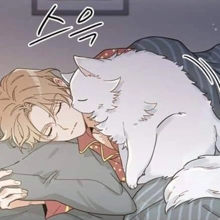 함께 만화보는 집사와 고양이