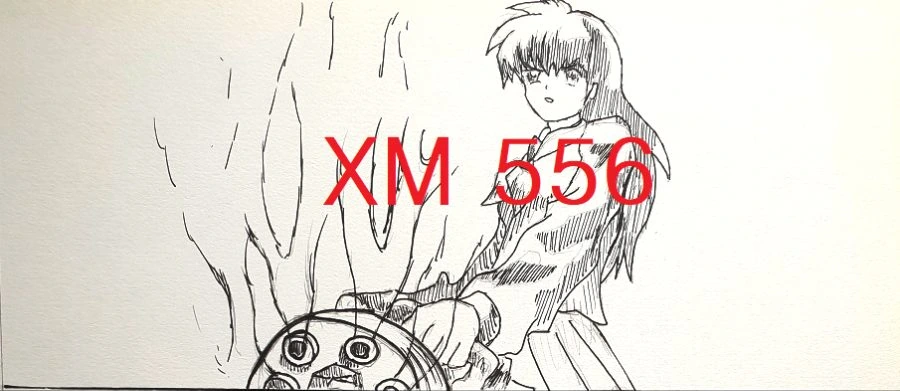 [이누야샤] 가영이가 XM556 쓰는만화 - 이미지 3