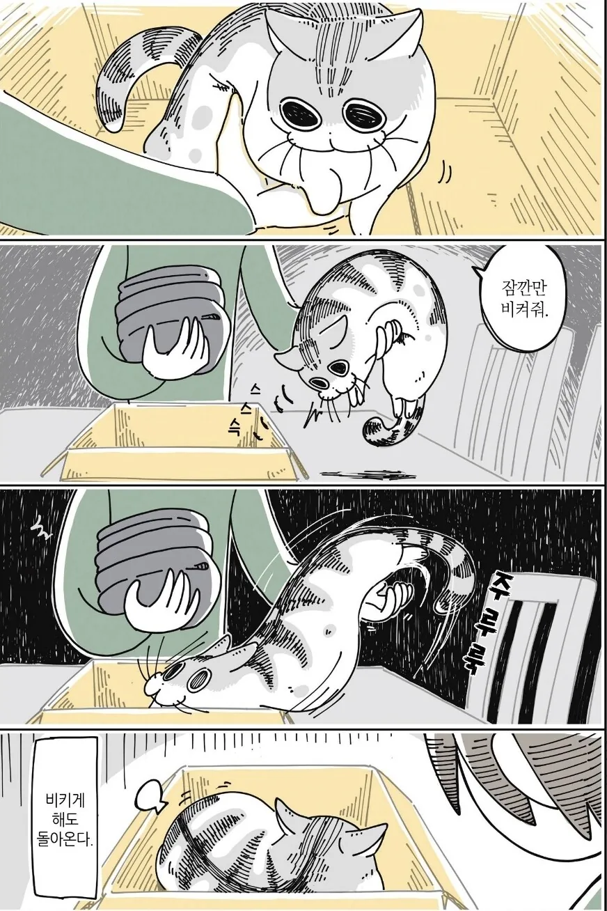 고양이 되게 기묘하게 그리는데 암튼 맞는 만화 - 이미지 2