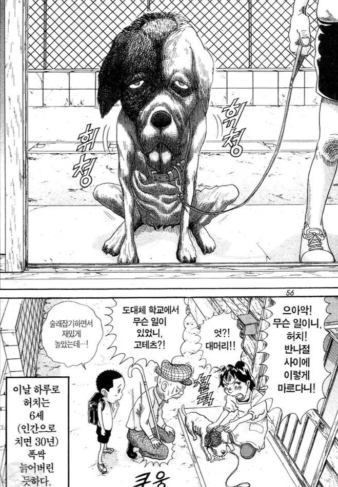 댕댕이 산책시키는 만화.Manhwa - 이미지 5