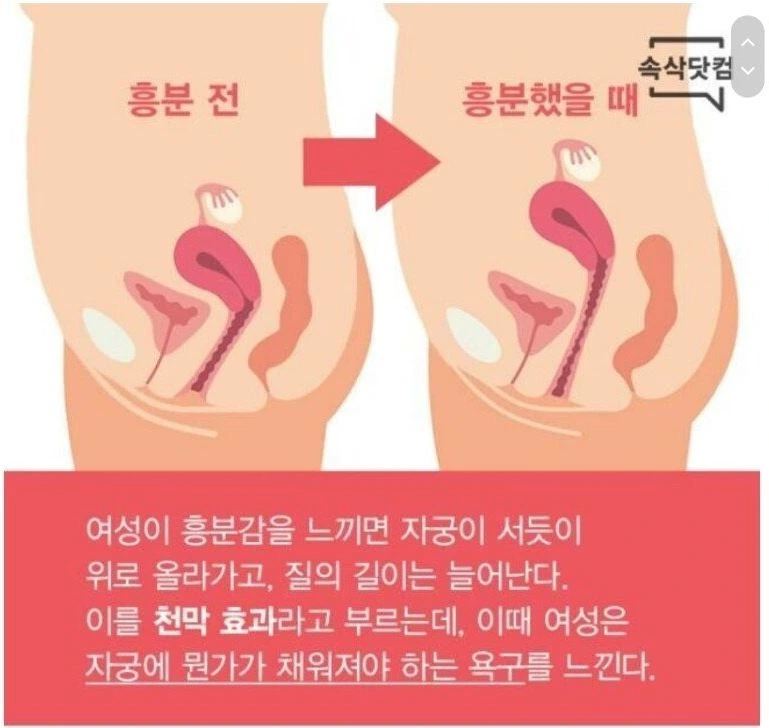 귀여운 토끼 소녀가 큥큥 하는 만화 - 이미지 2