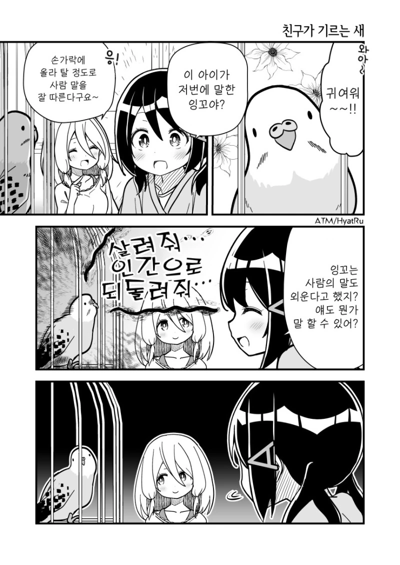 친구가 기르는 새.manhwa