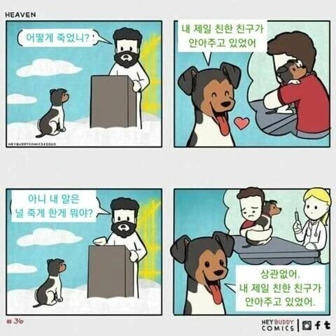 어떻게 죽었니?.manhwa