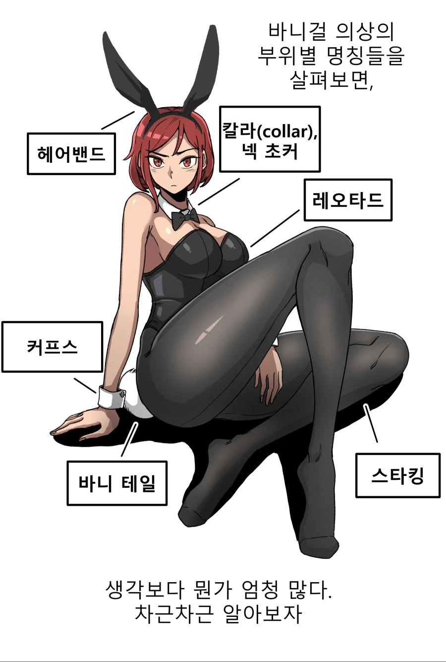 바니걸에 대하여 알아보는 만화.manwha - 이미지 5