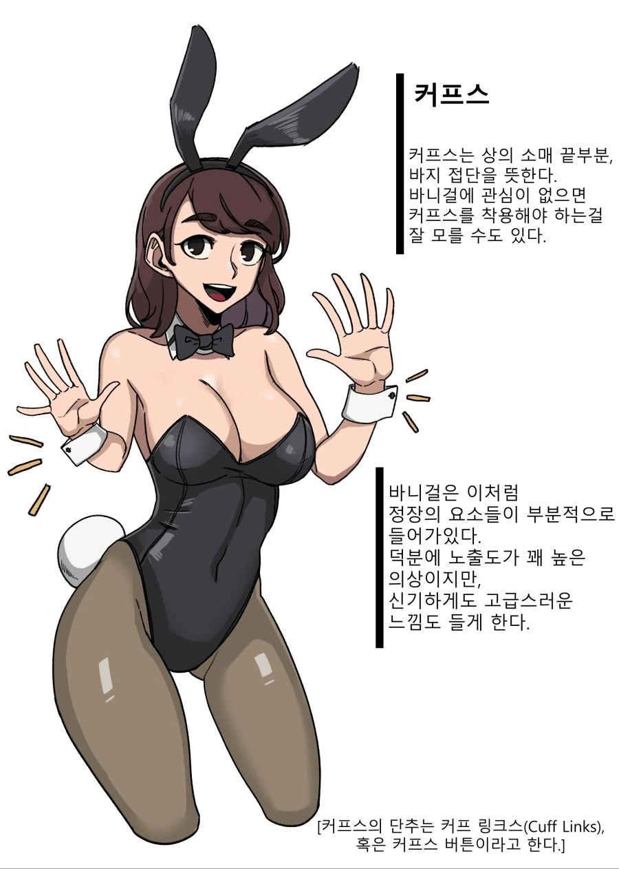 바니걸에 대하여 알아보는 만화.manwha - 이미지 8