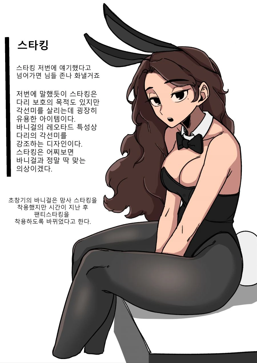 바니걸에 대하여 알아보는 만화.manwha - 이미지 12
