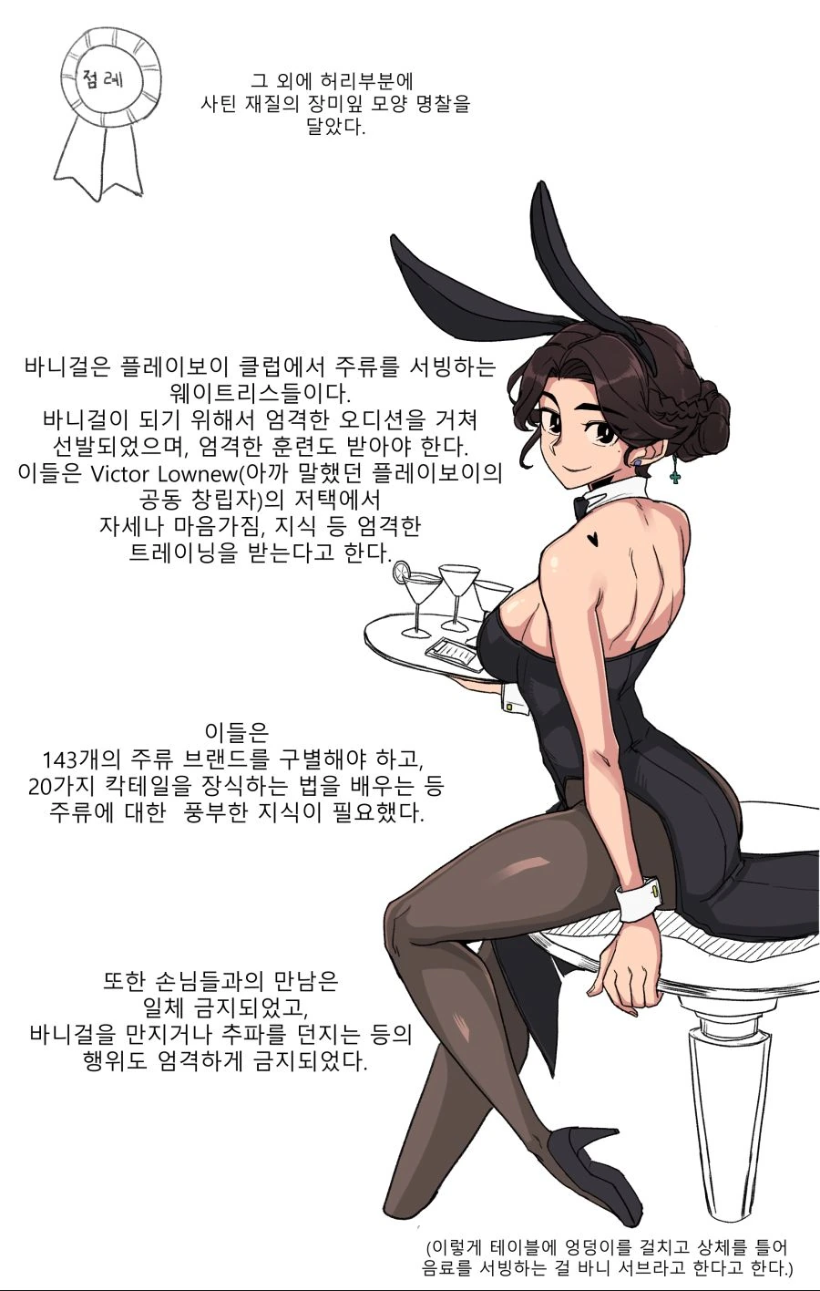 바니걸에 대하여 알아보는 만화.manwha - 이미지 14