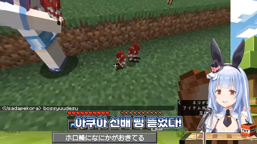버튜버]선배 삥뜯는 토끼 - 이미지 23