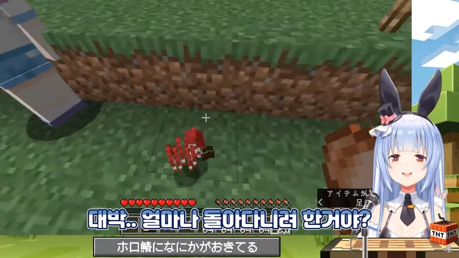버튜버]선배 삥뜯는 토끼 - 이미지 25