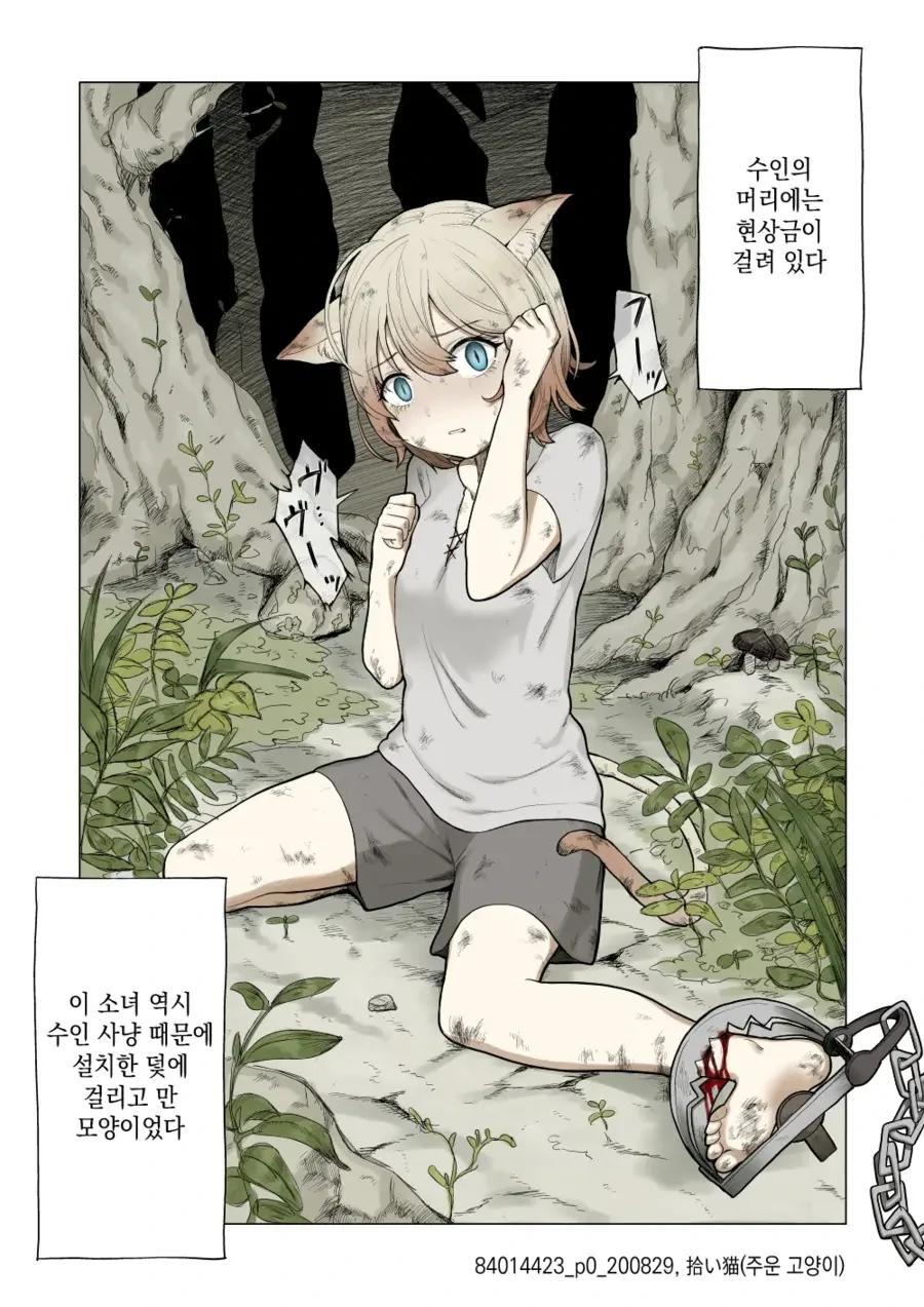 고양이 수인을 주운 만화