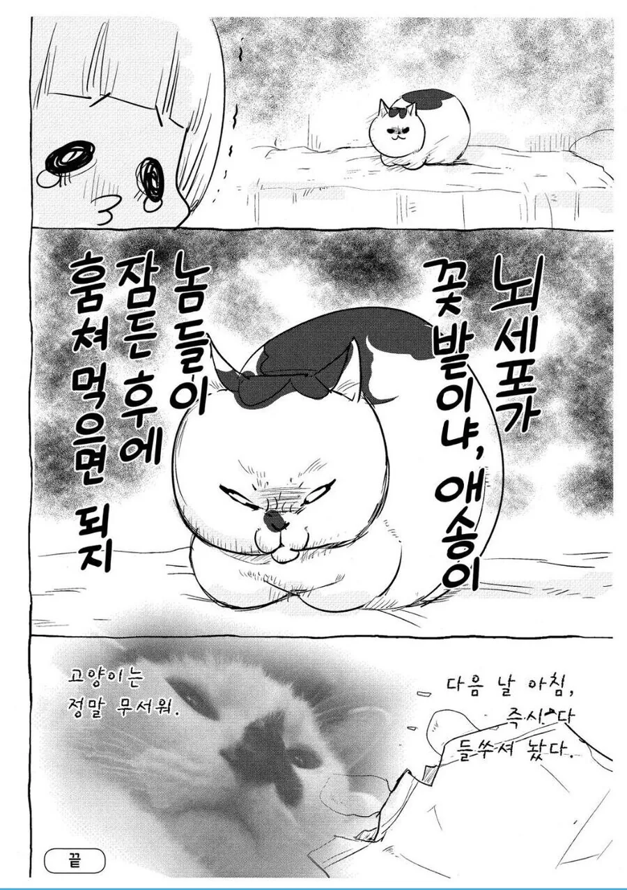 강아지와 고양이가 생각하는 사람들이 주는 음식.manga - 이미지 2