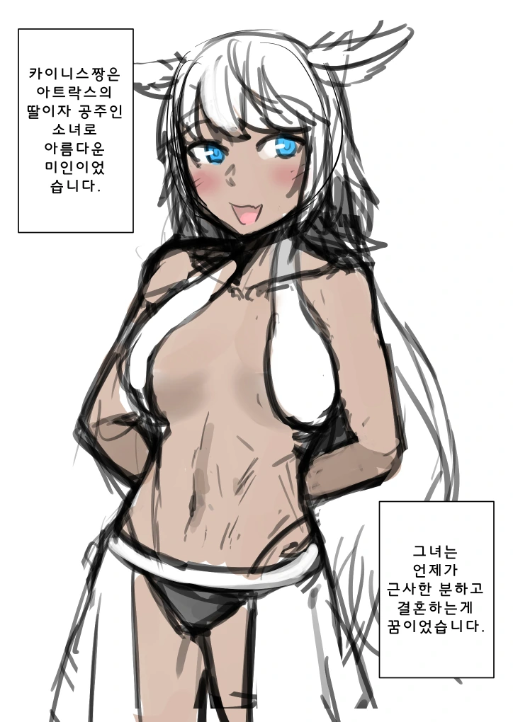 [페그오] 영웅 카이네우스
