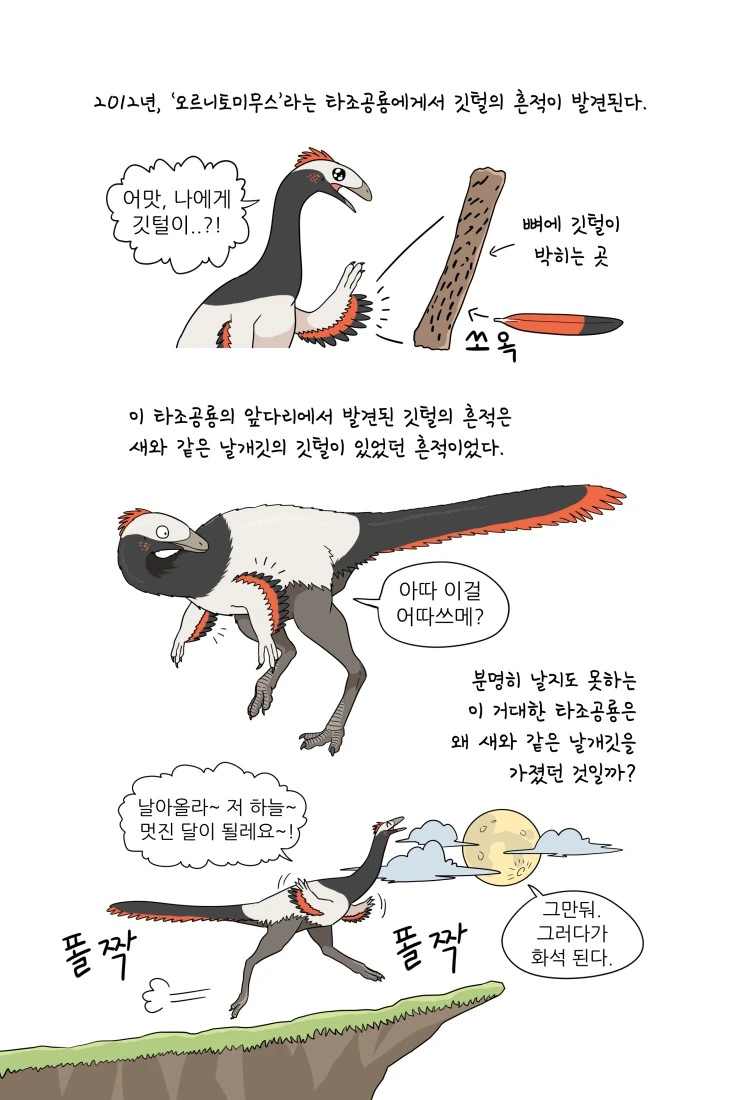 만화로 배우는 공룡의 생태 - 깃털의 기능