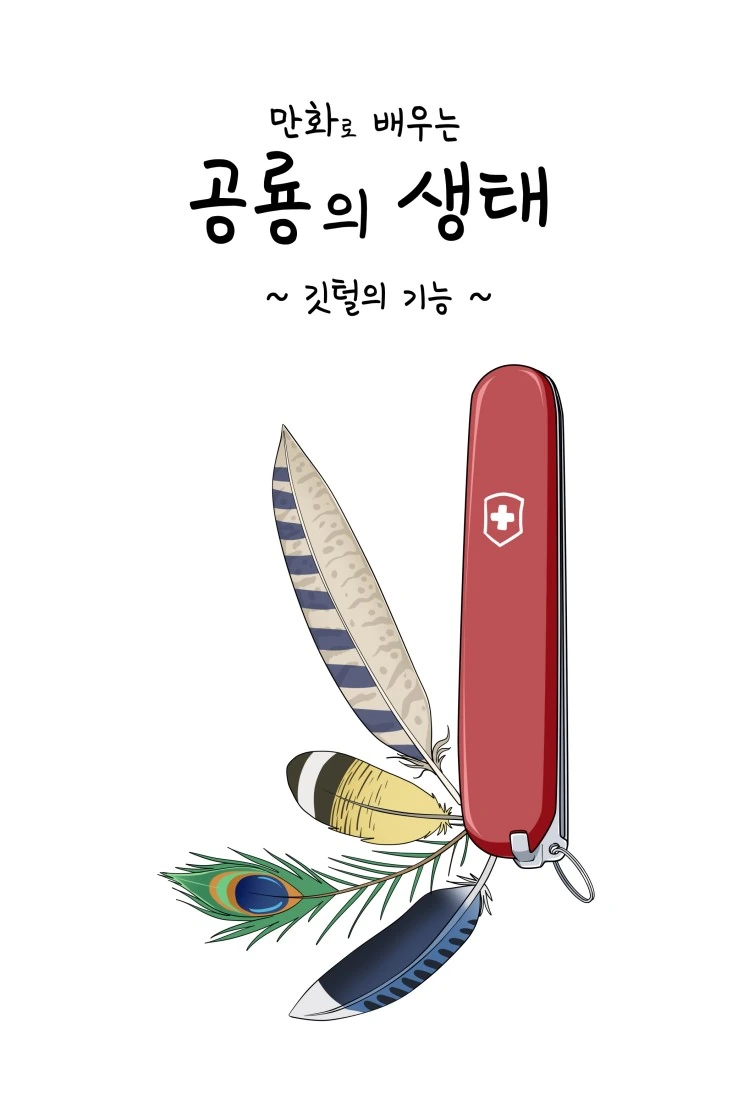 만화로 배우는 공룡의 생태 - 깃털의 기능 - 이미지 2