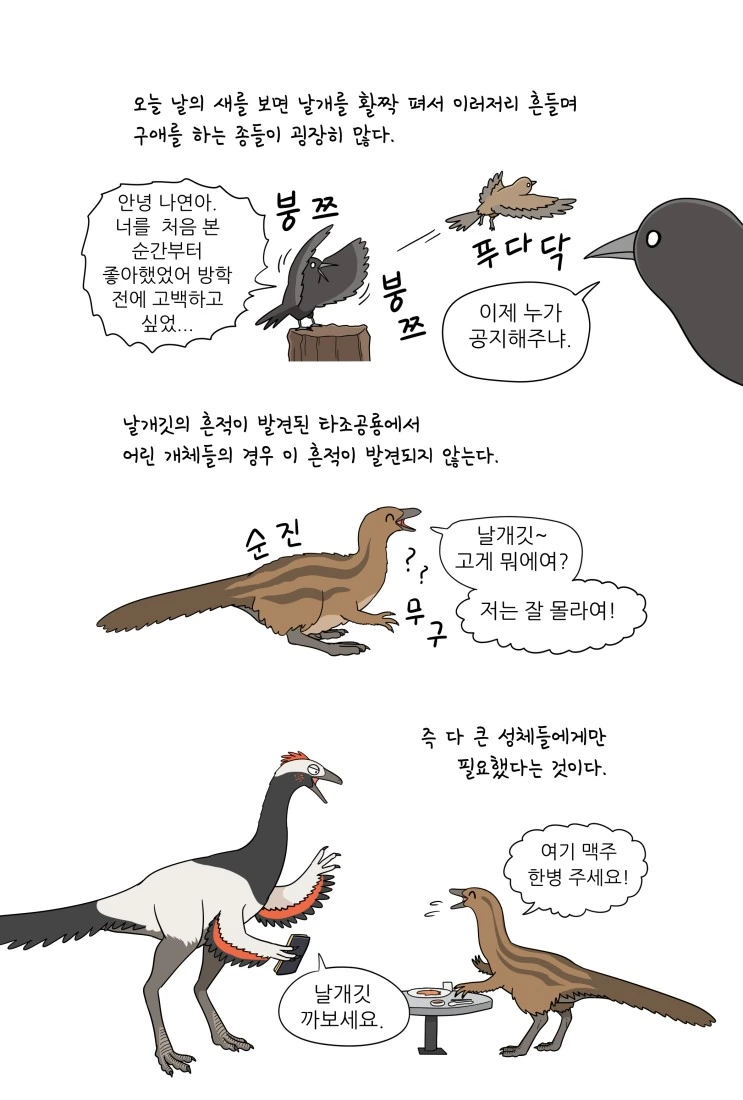 만화로 배우는 공룡의 생태 - 깃털의 기능 - 이미지 3