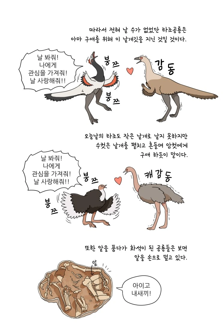 만화로 배우는 공룡의 생태 - 깃털의 기능 - 이미지 4