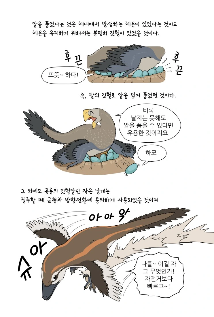 만화로 배우는 공룡의 생태 - 깃털의 기능 - 이미지 5