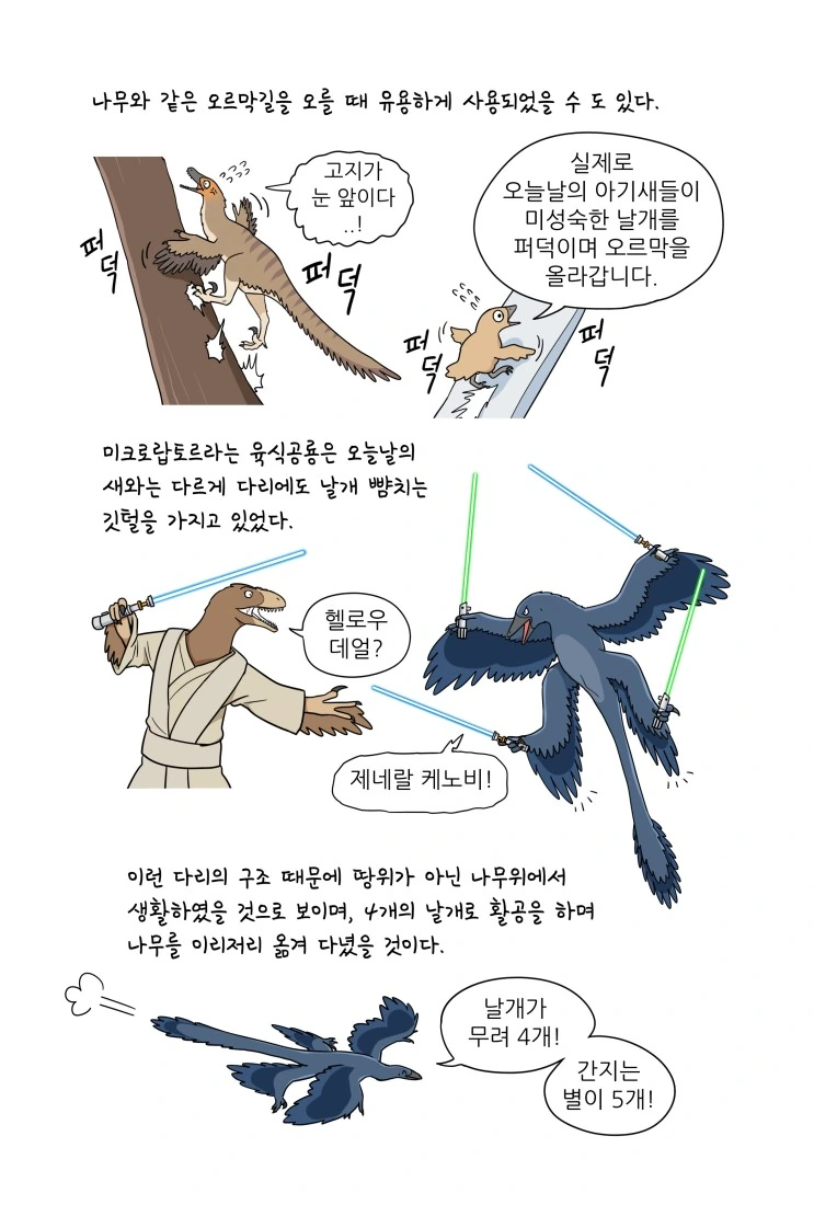 만화로 배우는 공룡의 생태 - 깃털의 기능 - 이미지 6