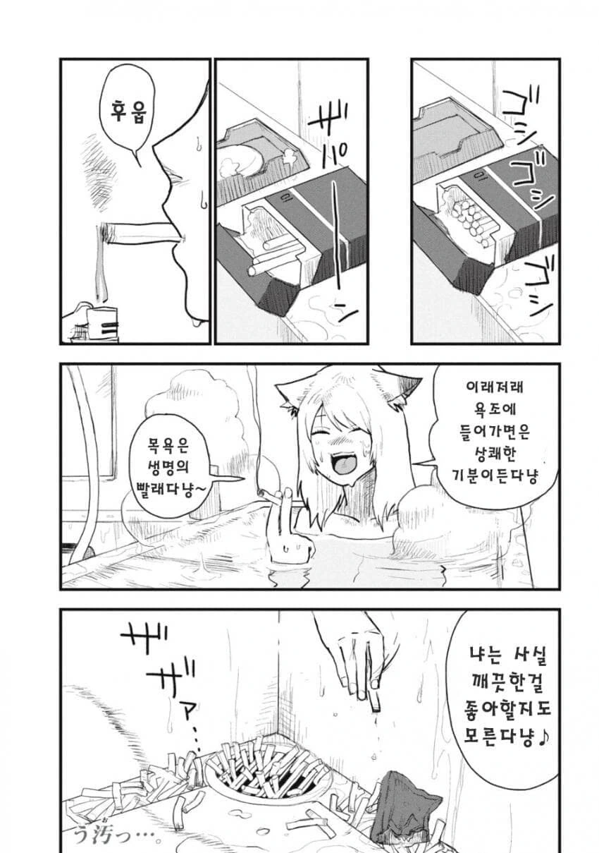 깨끗한 걸 좋아하는 고양이 만화 - 이미지 2