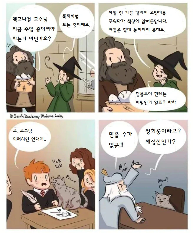 해리포터) 학생 ㅅㅎㄹ하는 교수님 만화