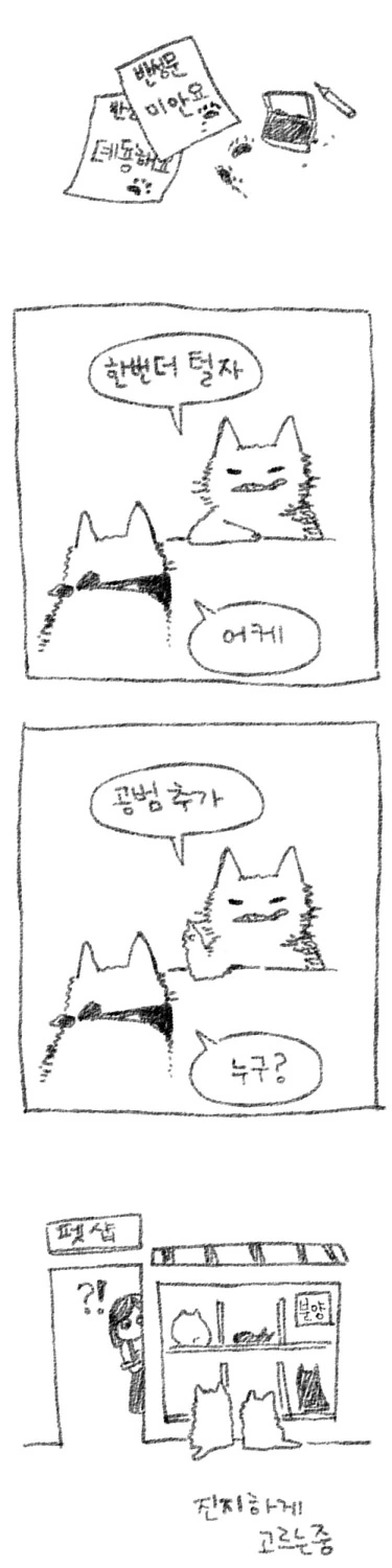 고양이들이 은행터는 만화.manwha - 이미지 4
