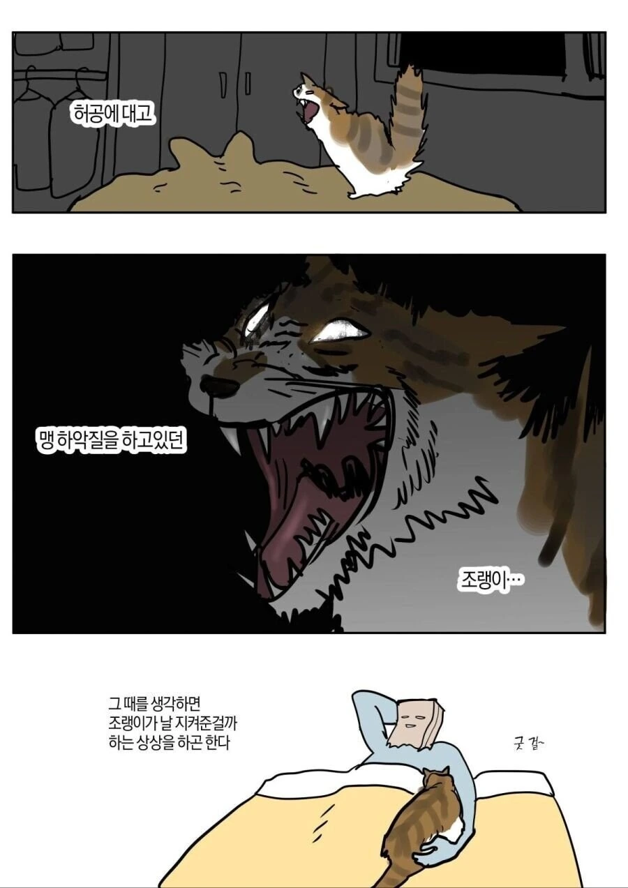 고양이가 가위 풀어준 썰.manhwa - 이미지 2