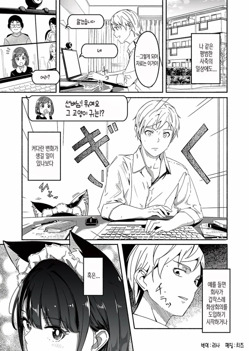 고양이 안키우면 모르는 고양이 특징.manga